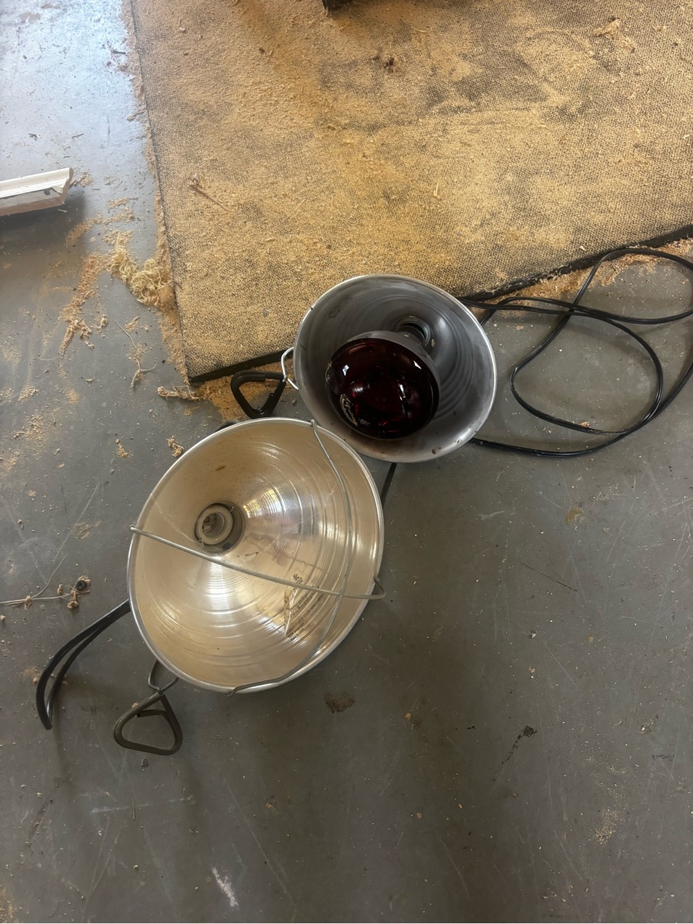 2 Silver Indoor Clamp Heat Lamp on with Red Bulb